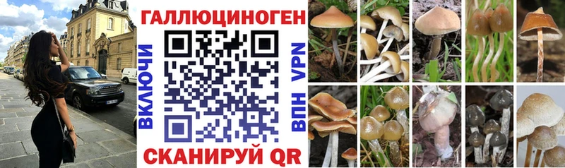 маркетплейс Telegram  Петров Вал  Псилоцибиновые грибы Cubensis 